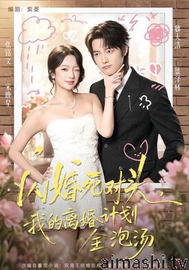 闪婚死对头，我的离婚计划全泡汤