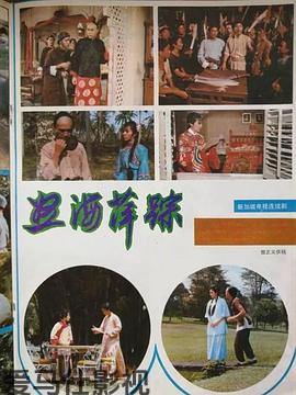 怒海萍踪